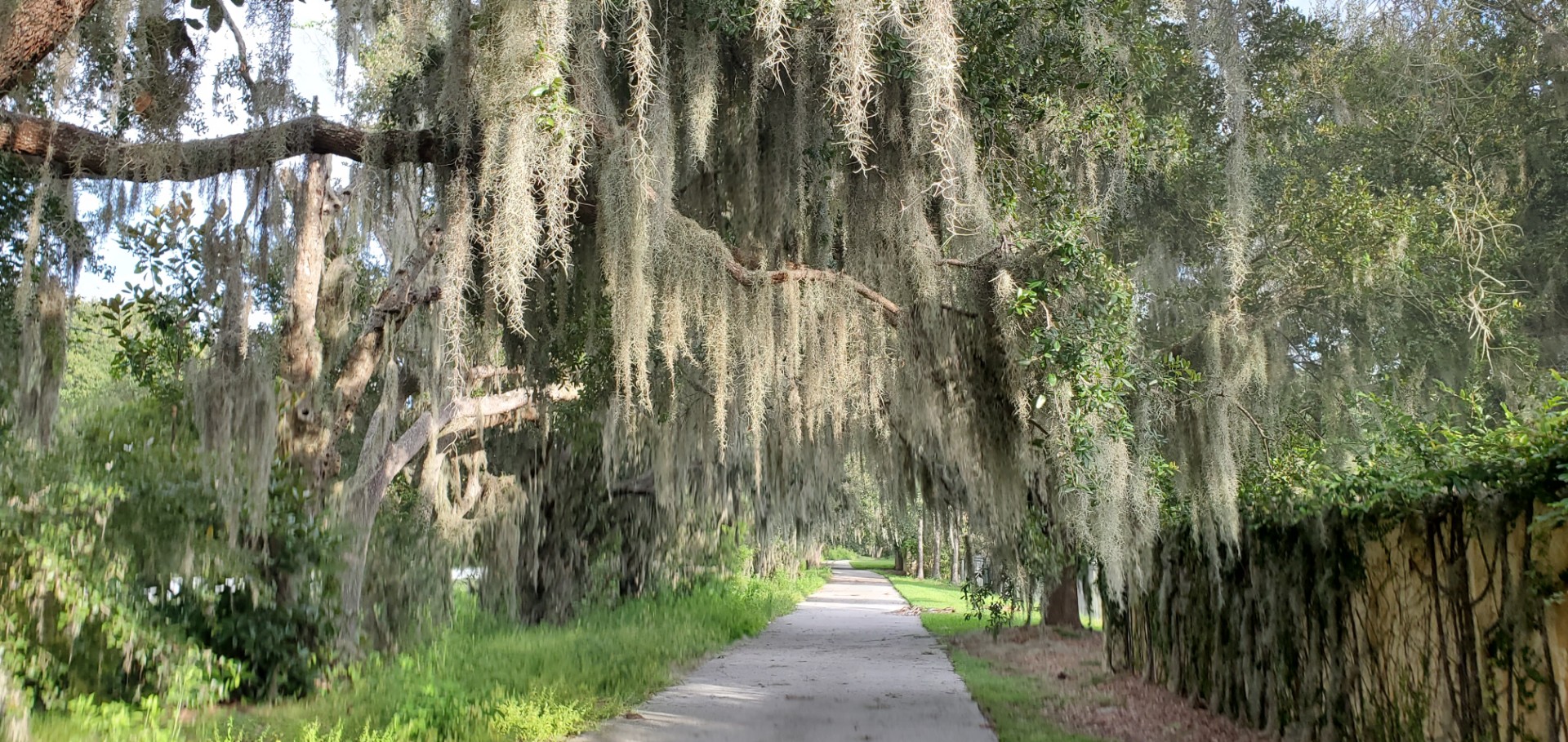 Lake Nona