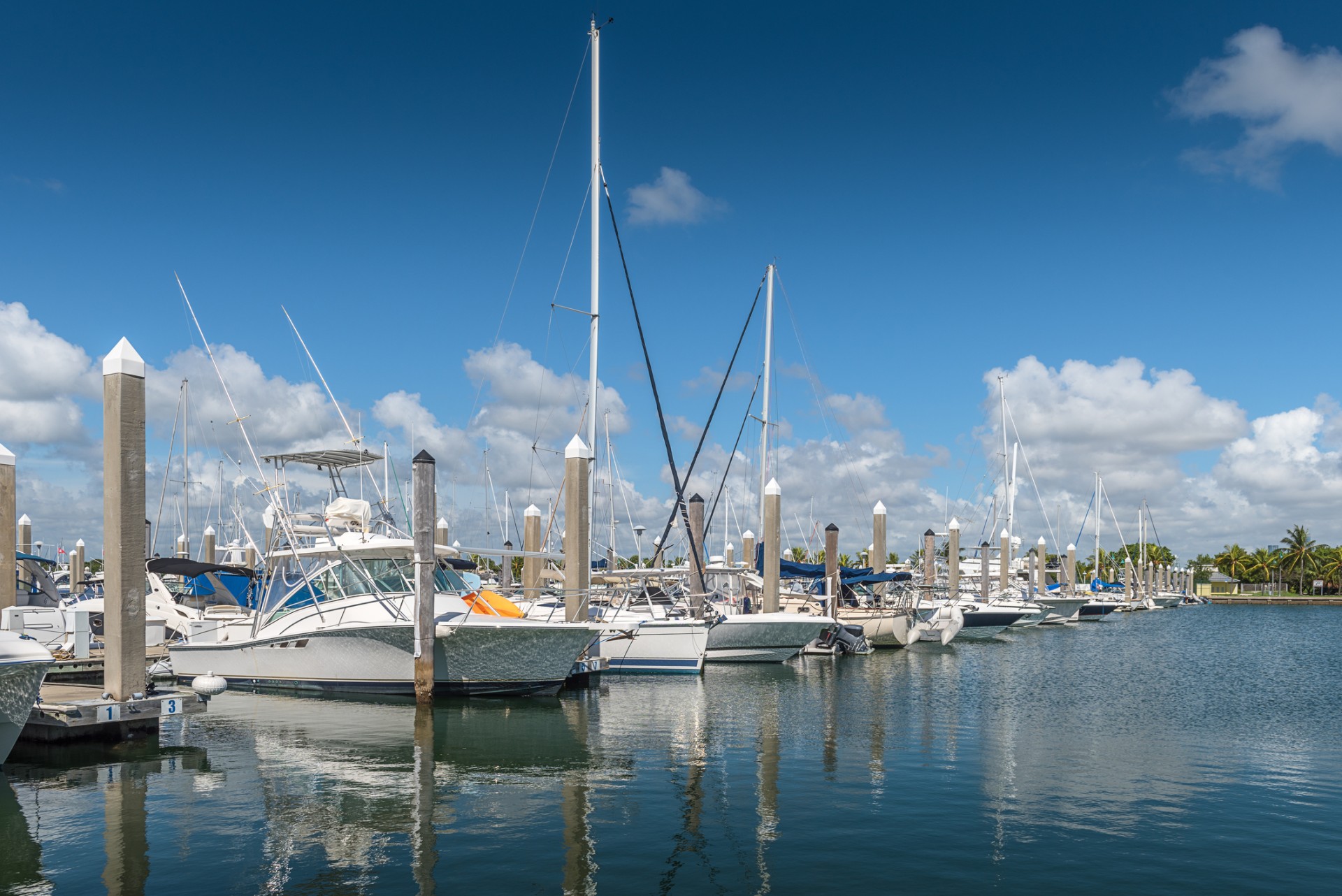Safety Harbor